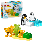 LEGO Duplo – Tučniaky a levy 10442